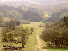 South Downs Village Funtingdon