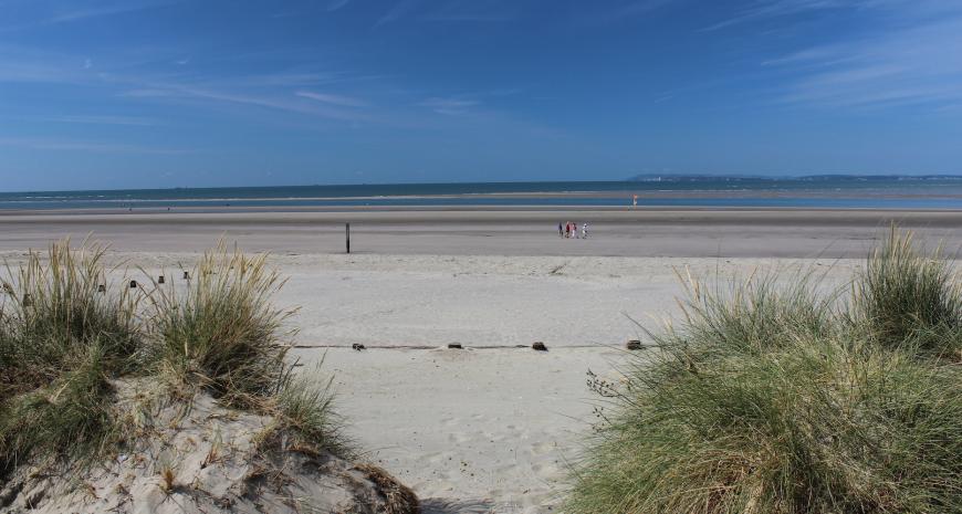 Guide to The Manhood Peninsula