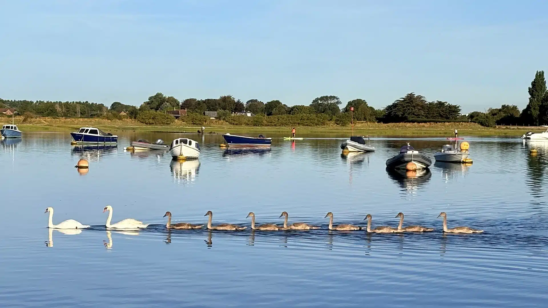 Bosham Harbour in the water